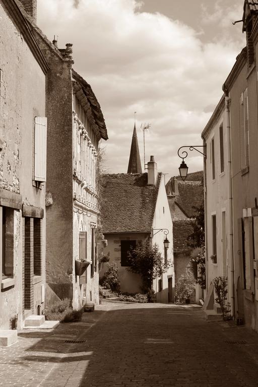Le Meuble Monestois Villa Mennetou-sur-Cher Bagian luar foto